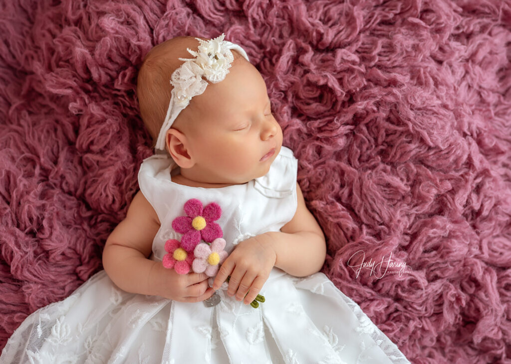 Baby Photo JudyHaring Photography www.judyharing.com