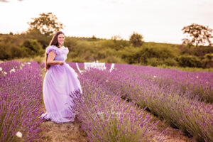 Lavendelfeld Photo JudyHaring Photography www.judyharing.com